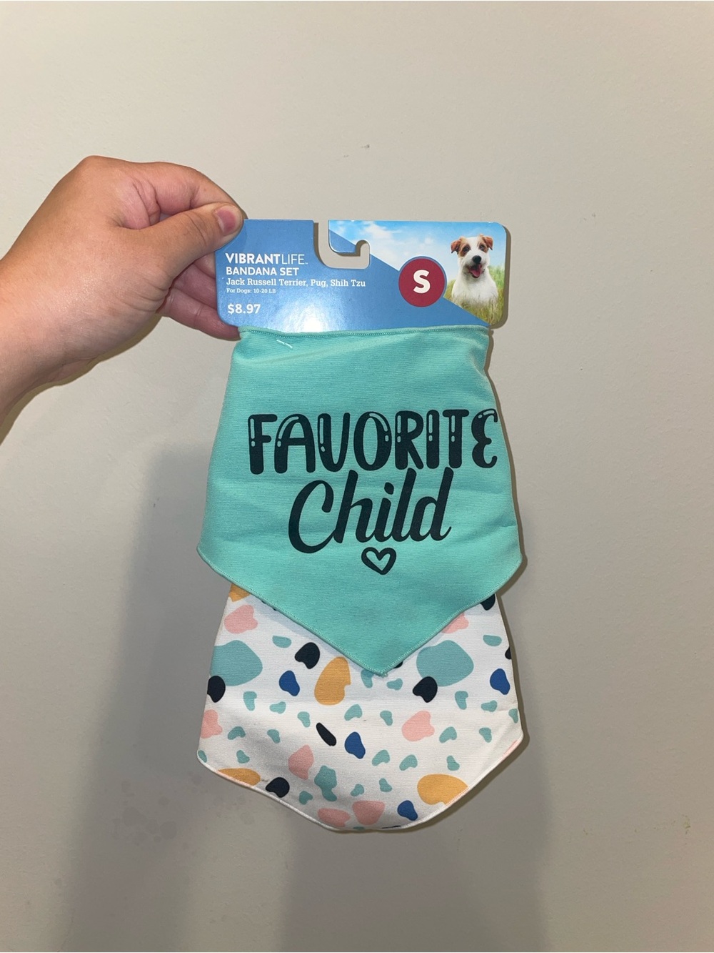 New Dog Bandana Set